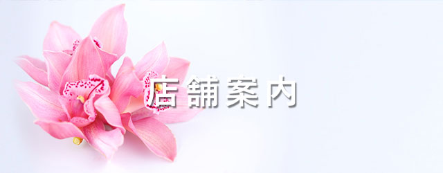 店舗案内